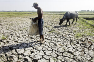 El Niño expected to affect up to 80 provinces – task force