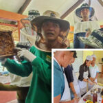 Normin youth leaders engage in stingless beekeeping, processing
