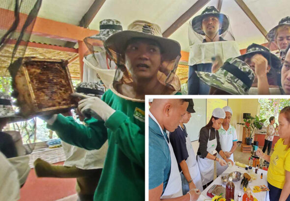 Normin youth leaders engage in stingless beekeeping, processing