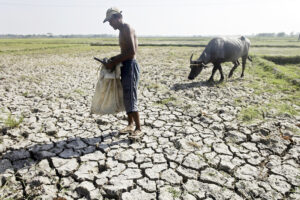 . The NDRRMC on Wednesday (March 6, 2024) said the ongoing El Niño phenomenon has so far caused more than PHP1 billion in agricultural damage in five regions.