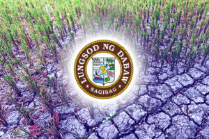 El Niño damage on Davao City agri sector reaches P5M