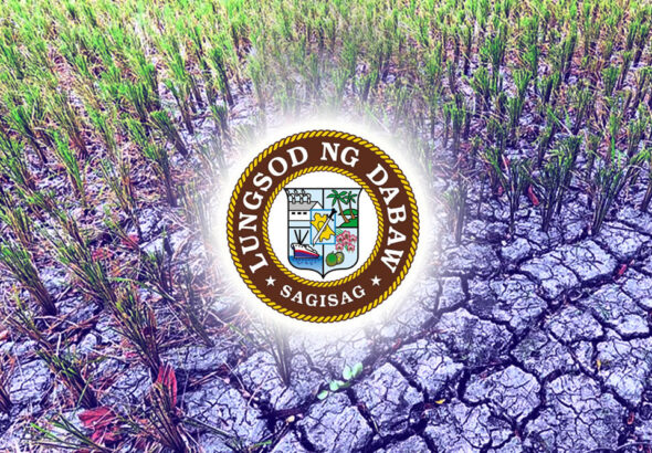 El Niño damage on Davao City agri sector reaches P5M
