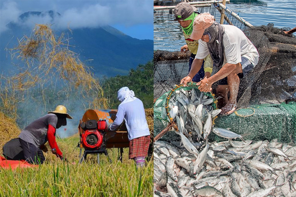 Gov't El Niño aid tops P1.13-B; 175K farmers, fisherfolk affected